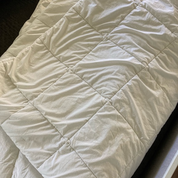 Eastern Accents Bedding Eastern Accents Super King Down Comforter